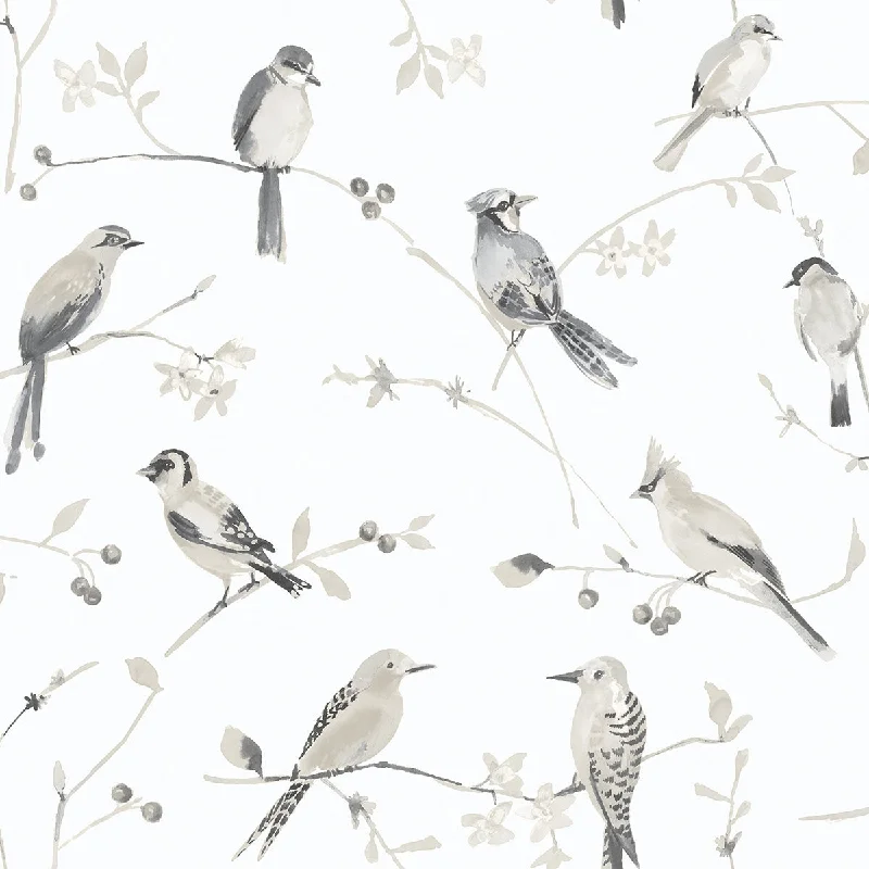 Birdsong Grey Trail Wallpaper from the Thoreau Collection