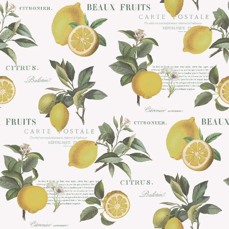 Citron Botanical Yellow/Green Wallpaper from the Just Kitchens Collection