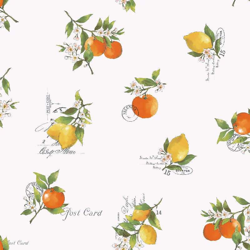 Citrus Toss Orange/Green Wallpaper from the Just Kitchens Collection