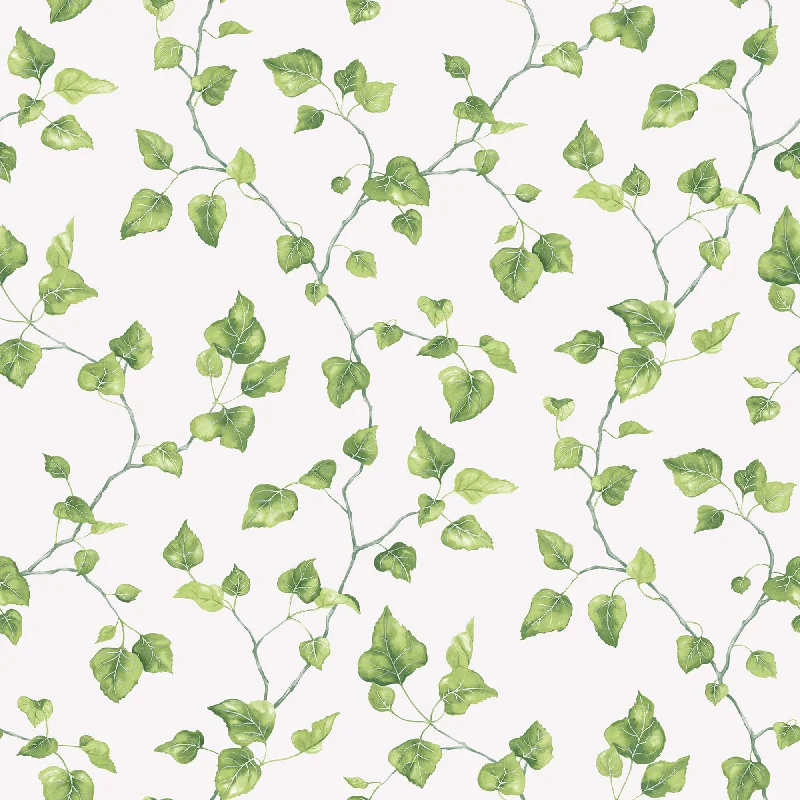 Just Ivy Green Wallpaper from the Just Kitchens Collection