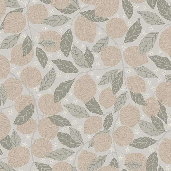 Lemona Grey Fruit Tree Wallpaper