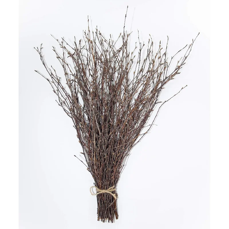 - 50 Psc. Birch Twigs – 100% Natural Decorative Birch Branches For Vases, Cent