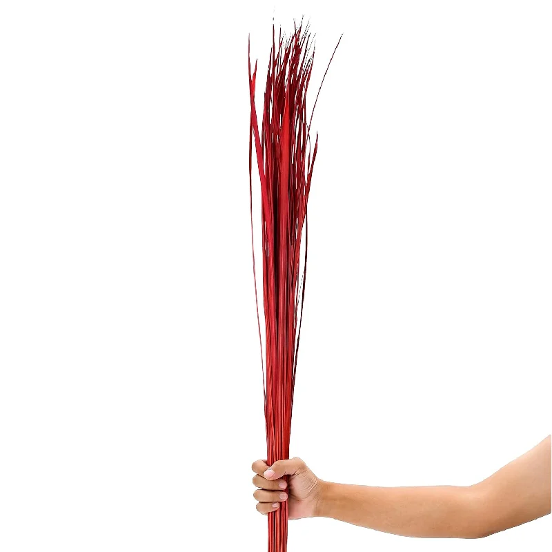 Natural Grass Stems – Loose And Colored Decorative Branches For Vases, Careful