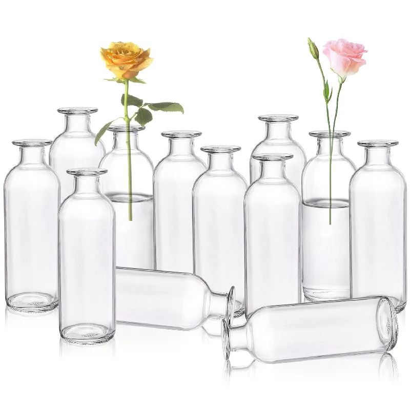 Set Of 12 Glass Bud Vases, Clear Small Flower Vases, Decorative Glass Bottles