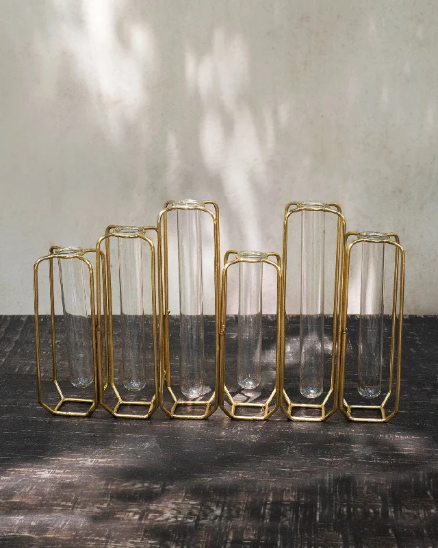 Test Tube Vase (Set of 6)